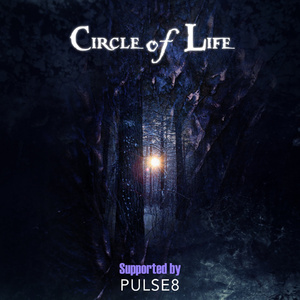 欧妇女乱妇女乱视频
